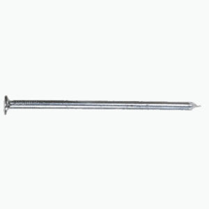 Common Nail