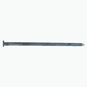 Common Spike Nail
